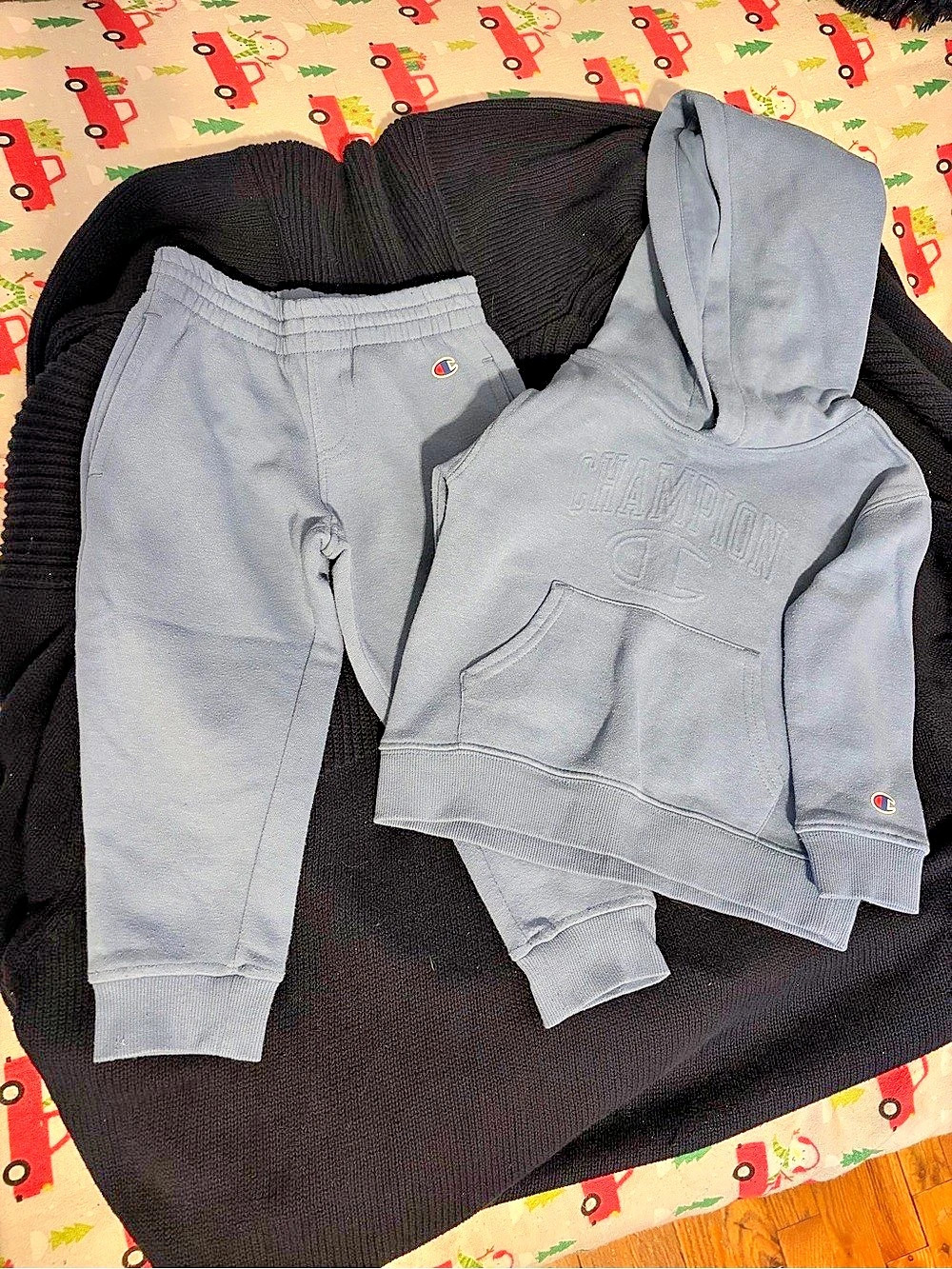 Champion Boys 3T Matching Hoodie Jogger Set
